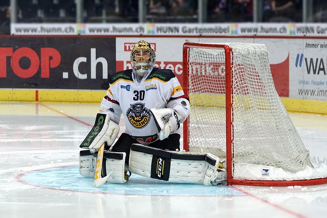 毛球的强大 毛球的强大