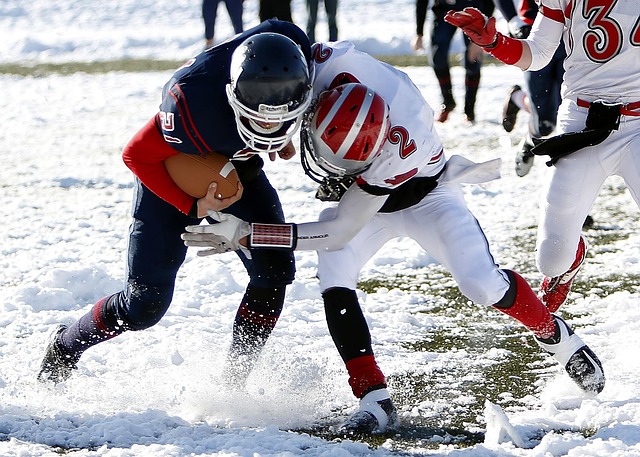 术布局以及 术布局以及