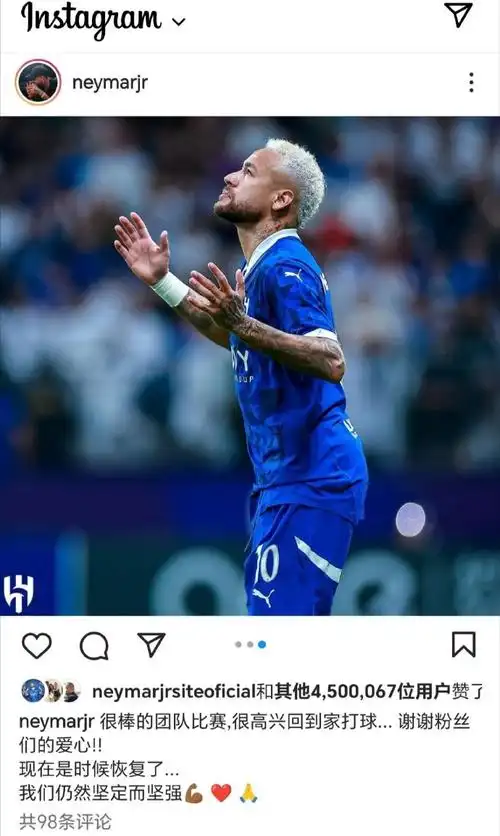 森林重回巅 森林重回巅