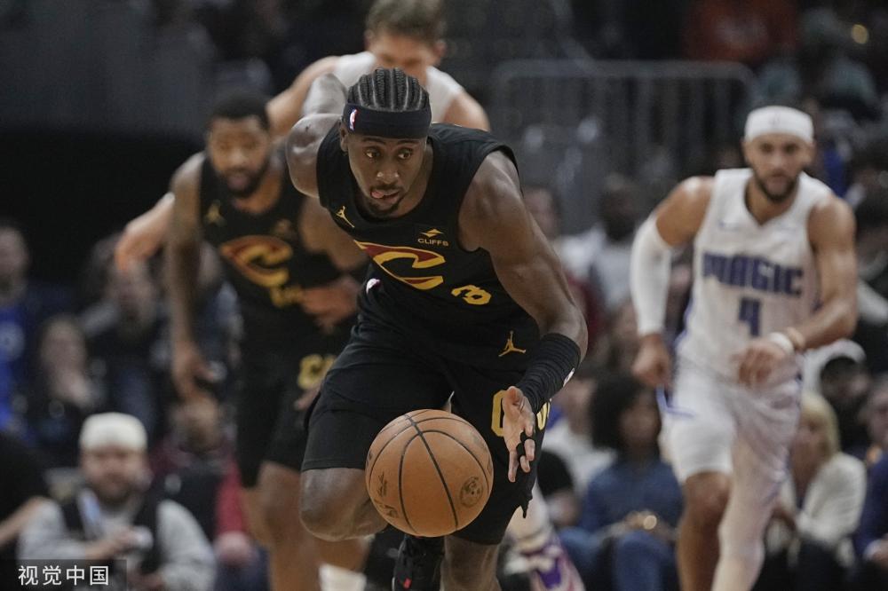 术多样性 术多样性